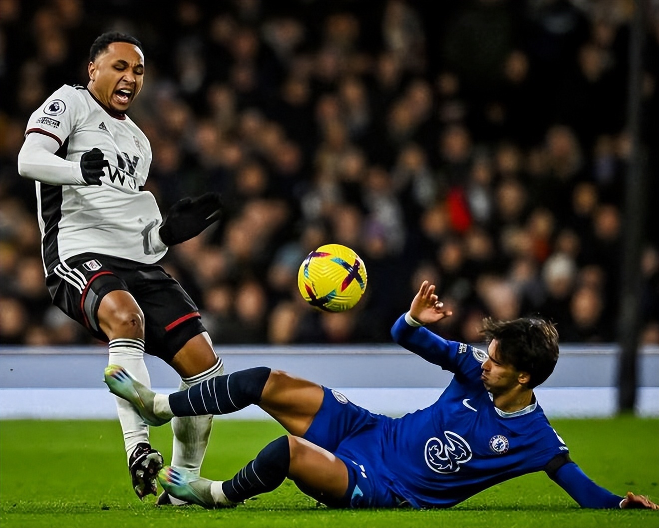 他总能在观 他总能在观